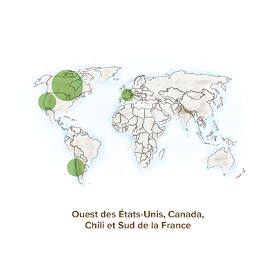 origines-geographiques-escholtzia