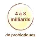 posologie_ferments_lactiques