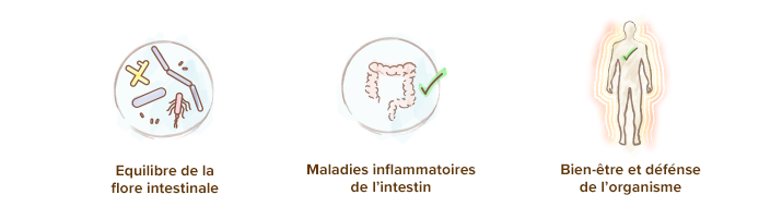 proprietes_effets_des_ferments_lactiques