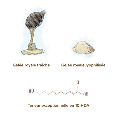 apparence_de_la_gelee_royale