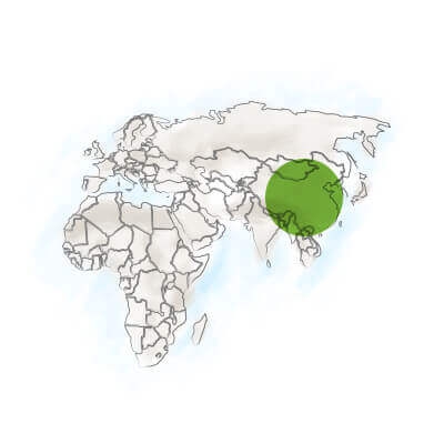 localisation ginkgo biloba