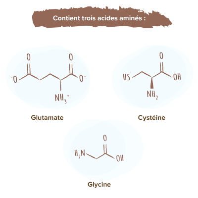 apparence-acide-amine-glutathion