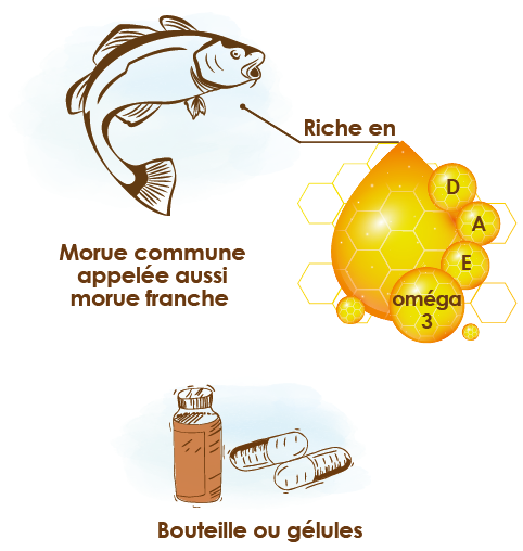 L'huile de poisson : Est-ce que ça marche ? Propriétés et