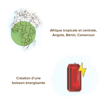 origines-geographiques-kola-boisson-energisante