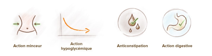 Le konjac : bienfaits santé, est-ce un coupe-faim ?