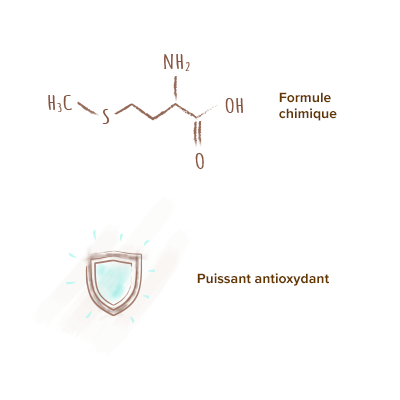 Origine-l-methionine