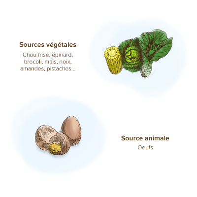 sources-alimentaires-luteine