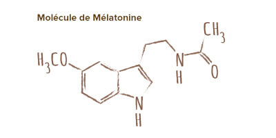 molécule mélatonine