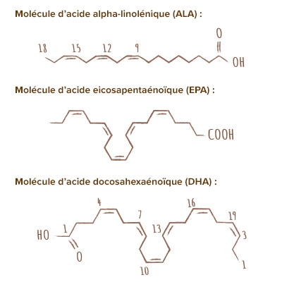 apparence_composition_omega_3