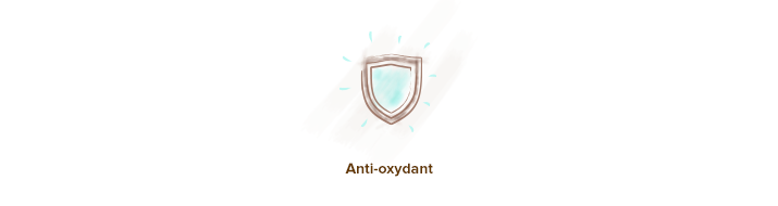 anti-oxydant