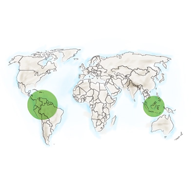 origine-geographique-papaye