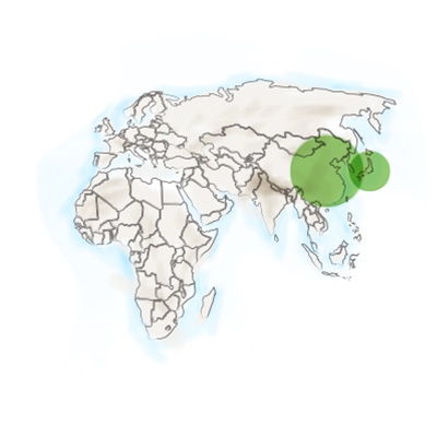 origine_geographique_du_reishi