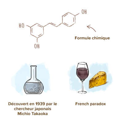 origine-resveratrol.