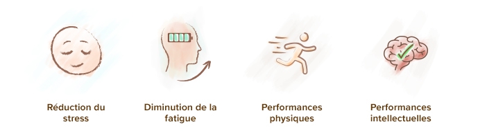 effets-du-rhodiola