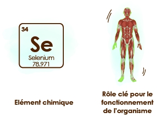 Origine-habitat-du-selenium