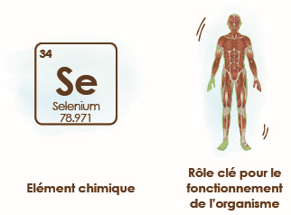 origine-habitat-selenium