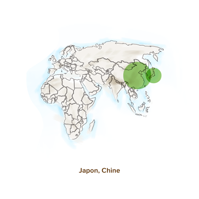 Origine_shiitake_geographie