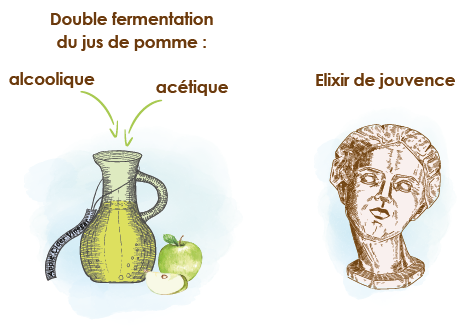 Les miracles du vinaigre sur le poids et la glycémie