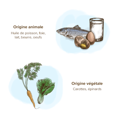 sources-alimentaires-vitamine-a