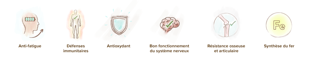 proprietes-vitamine-c