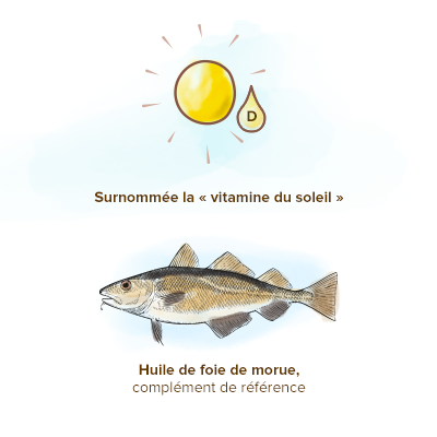 Origine-Vitamine-D-decouverte