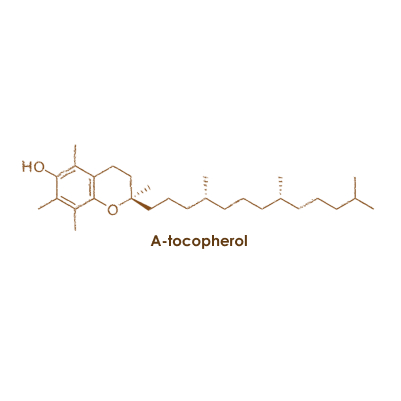 apparence-vitamine-e