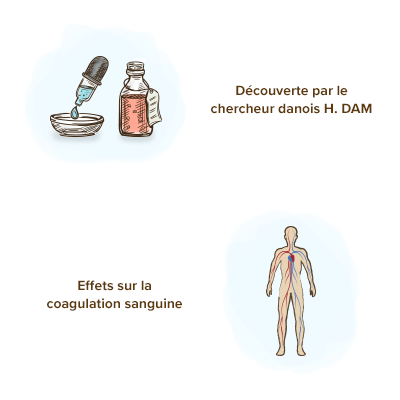 origines-vitamine-k2