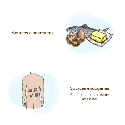 sources-vitamine-k2