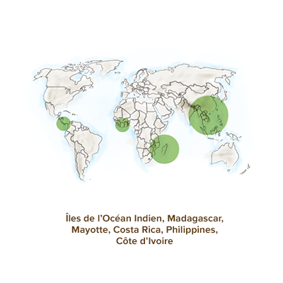 origine-geographique-ylangylang